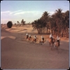 desert